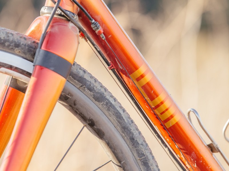 Legor Cicli, maestría a ritmo de&nbsp;Punk